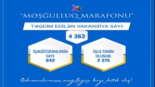 Nazirlik: 2 275 nəfər şəhid ailəsi üzvü və qazi işlə təmin olunub 