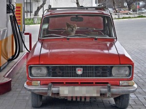 Təqaüdə çıxan səyahətçi "Moskviç"lə 1 milyon km qət etdi - FOTO