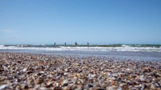 Dənizdə batmaq təhlükəsi ilə üzləşən 4 nəfər xilas edildi