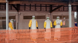 Konqoda Ebola qurbanlarının sayı 900-ə çatdı 