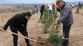 Qarabağ Dirçəliş Fondunun dəstəyi ilə Zəngilanda 30 min ağac əkiləcək