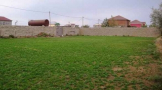 Bakıda dövlətə məxsus 25 hektar torpağı satıblar - 11 nəfər ittiham edilir 