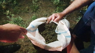 Saatlıda narkotacir tutulub   - FOTO