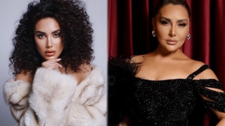 Zülfiyyə Xanbabayeva Mehinə bunu icazə vermədi - VİDEO