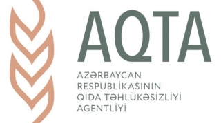 “Formula-1” 386 milyon dollar ziyana düşüb