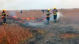 Cəlilabadda yanğın baş verib, 5 hektar ərazi yanıb - VİDEO 