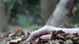 Şabran sakini 11 il əvvəl anasını öldürərək həyətdə basdırıb 