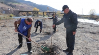 Laçında ağacəkmə aksiyası keçirildi - Fotolar 