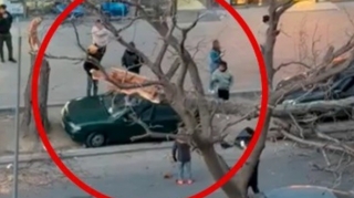 Bakıda quru ağac budağı maşınların üzərinə düşdü - VİDEO