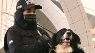 Aeroportda COVID-19 xəstələrinin aşkarlanması üçün itlərdən istifadə edilir