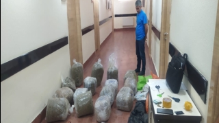 DİN və DSX birgə əməliyyat keçirib, 102 kq narkotik götürülüb  - FOTO