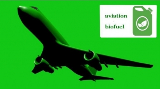 İspaniyada 200-dən çox təyyarə bioyanacaqla uçacaq 