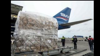 Ukraynaya humanitar yardım daşıyan təyyarə Azərbaycandan yola düşüb 