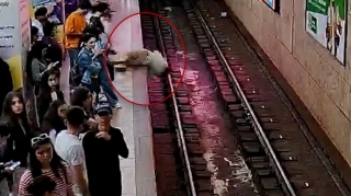 Bakı metrosunda qatar relslərinə düşənlərin görüntüləri - VİDEO