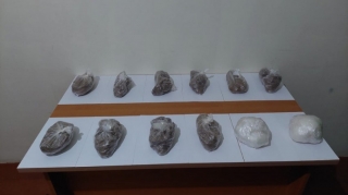 DSX:  "Dövlət sərhədində 12 kq narkotik aşkarlanıb"  - FOTO