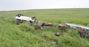 Yasdan qayıdanlar qəzaya düşdü: 8 yaralı - FOTO