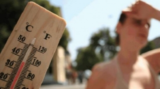 Umayra Tağıyeva:  "Quraq və qızmar hava şəraiti meşə yanğınları ehtimalını artırır"