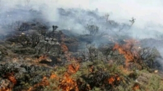 Qubada dağlıq ərazidə yanğın olub