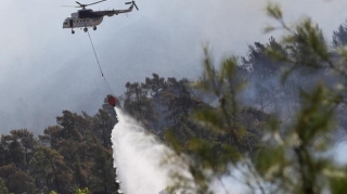 ANAMA Qarabağda olan meşə yanğınları ilə bağlı müraciət etdi 