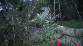 Goranboyda külək irigövdəli ağacı transformatorun üzərinə aşırdı - FOTO