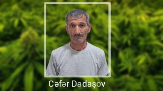 Həyətində narkotik bitkilər yetişdirən şəxs saxlanıldı - FOTO