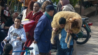 Bu ölkədə yenidən qurban kəsməyə icazə verildi - FOTO