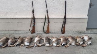 Saatlıda dovşan ovlayanlar saxlanılıb  - FOTO