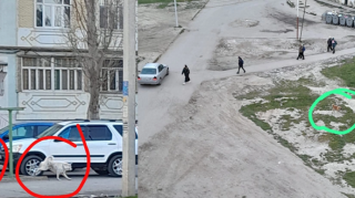 Sumqayıt sakinləri:  "Uşaqlarımızı qorxa-qorxa məktəbə aparırıq"  - FOTO