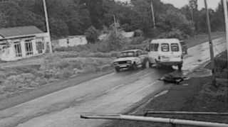 Azərbaycanda yola çıxan heyvan ağır qəzaya səbəb oldu - ANBAAN VİDEO 