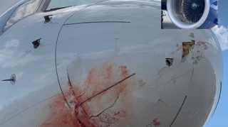 Təyyarə quşlara tuş gəldi, mühərriki yararsız vəziyyətə düşdü   - FOTO