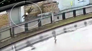 Keçiddə 84 yaşlı kişini vurub öldürən sürücü həbs edildi - ANBAAN VİDEO 