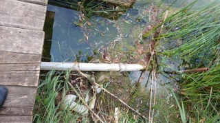 Tullantı sularının axıdılmasına görə obyekt sahibləri cəzalandırıldı 