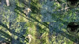 Ukrayna dronu Donbassda əsgəri əsir götürdü   - VİDEO