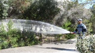 Bakıda 533 küçə və prospekt yuyuldu  - FOTO