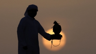 Ərəblərə ov üçün icazə verilməyib - Rəsmi açıqlama 