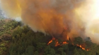 Türkiyədəki kütləvi yanğınlardan ölüm sayı artıb