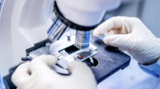 Azərbaycanda insanlar seroloji testlərdən keçəcəklər