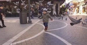 Gömrük xidməti  sosialyönümlü videoçarx hazırlayıb - VİDEO