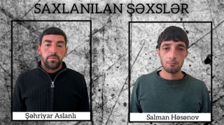 Bu şəxslər Şirvanda çətənə kolları yetişdirirmişlər - VİDEO