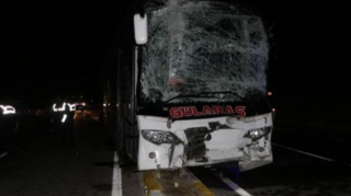 Qəfil yola çıxan at 15 nəfərin xəsarət almasına səbəb oldu - FOTO 