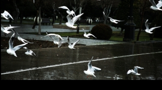 Yaxın 3 gündə hava necə olacaq? 