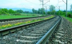 “Qəbələyə 20 km-lik torpaq yatağı artıq hazırdır” - Cavid Qurbanov