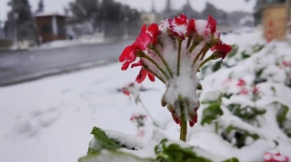 Bu ərazilərə qar yağıb 