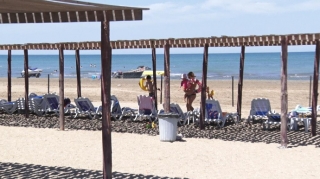 На пляжах Абшерона проведены мониторинги