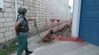 ANAMA Qazaxda xüsusi əməliyyat keçirdi - FOTO 