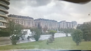 Yollarda görüntünü məhdudlaşdıran bitkiləri hansı qurum əkib? - Ekspert açıqladı 