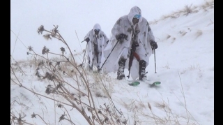 Azərbaycan Ordusunda komandoların peşəkarlığı artırılır - VİDEO 