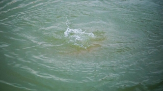 İmişlidə 10 yaşlı uşaq kanalda batıb