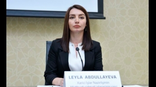 Лейла Абдуллаева рассказала о встрече министров иностранных дел в Женеве
