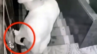 Quldurluq üçün evə basqın etdilər, polislərə atəş açdılar - MƏHKƏMƏ 